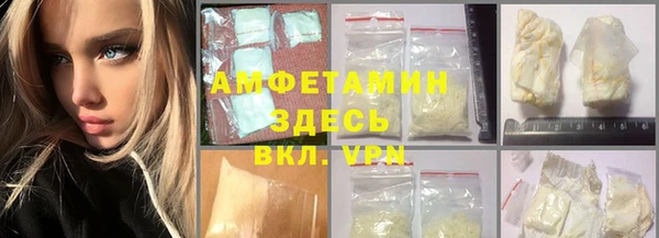индика Туринск