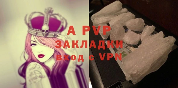 PSILOCYBIN Усмань