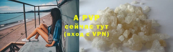 PSILOCYBIN Усмань