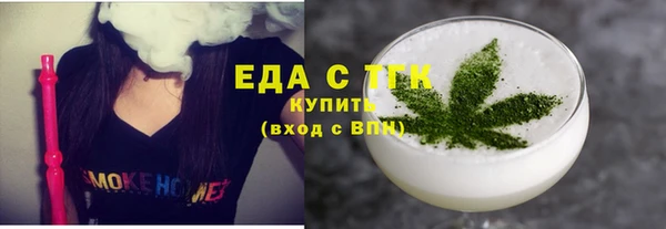 индика Туринск