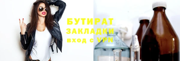 индика Туринск