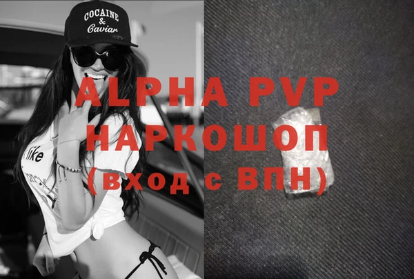 индика Туринск