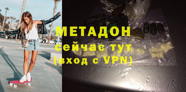 индика Туринск
