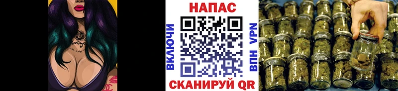 Бошки Шишки гибрид  Купить где  Бокситогорск 